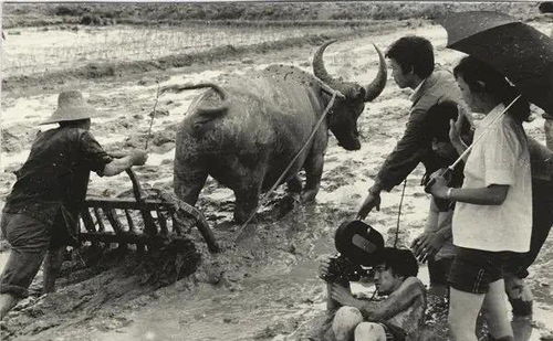 青春祭 沒(méi)有什么能夠阻擋，你對(duì)美麗的向往